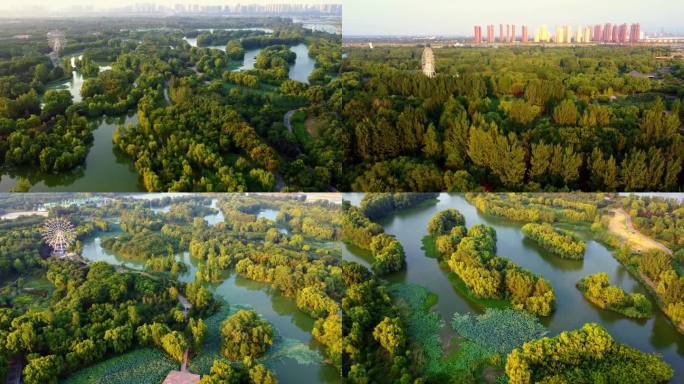 西安浐灞湿地生态公园