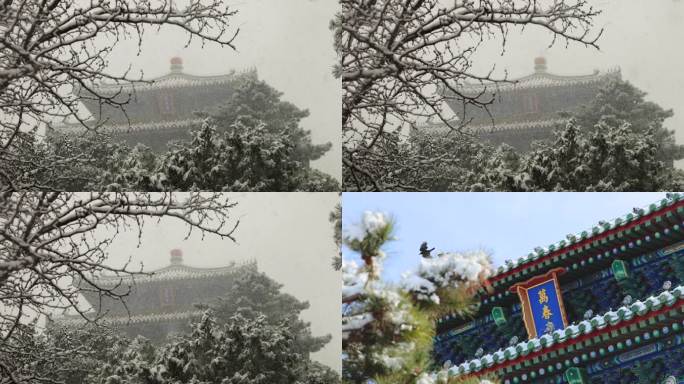 景山公园万春亭雪景