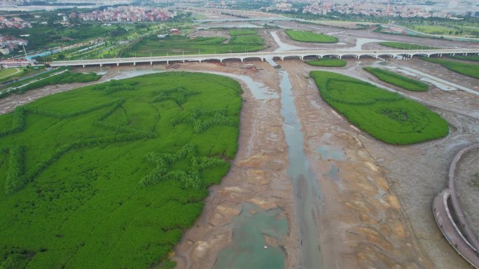 航拍厦门下潭尾湿地公园