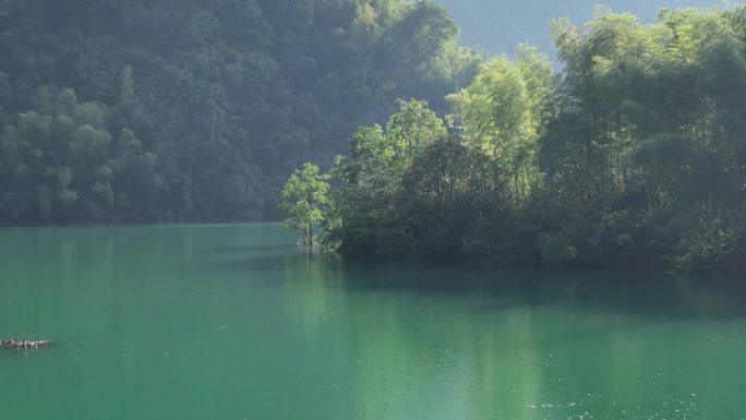 航拍江南山水浙江水面湖面水中央一棵树安静