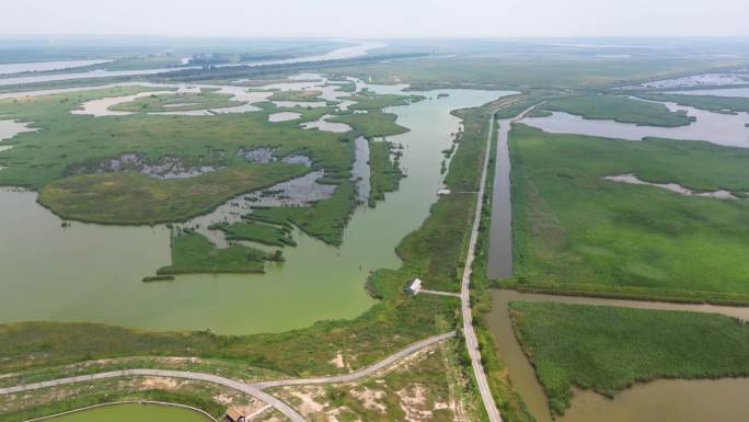 盐城丹顶鹤湿地航拍