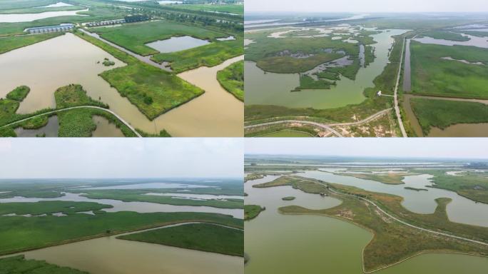 盐城丹顶鹤湿地航拍