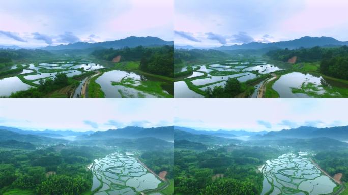 实拍 皖南 梯田 水田 乡村田园