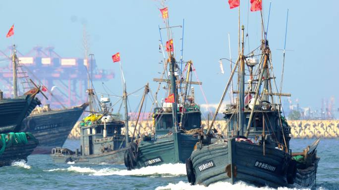 青岛渔港码头休渔期结束渔船捕捞归来
