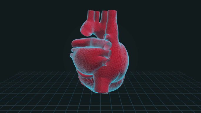 心脏感染疾病-4K循环医学背景