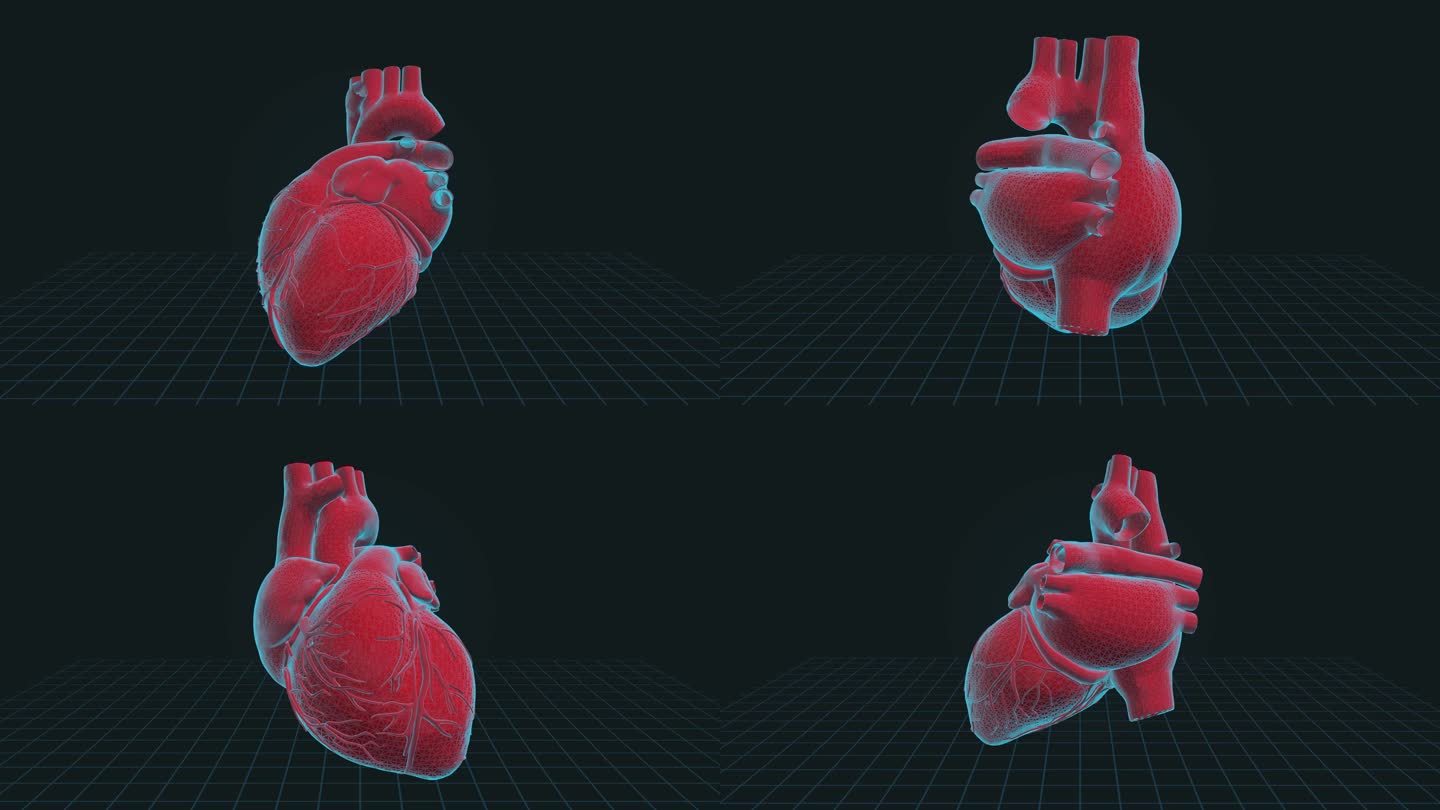 心脏感染疾病-4K循环医学背景