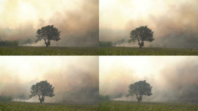 土耳其安塔利亚马纳夫加特森林火灾