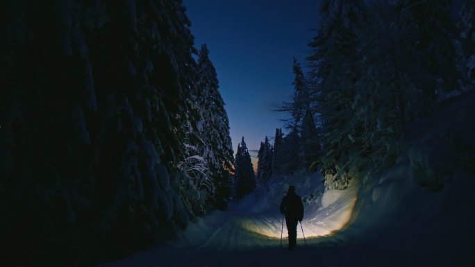SLO-MO徒步旅行者夜间在冬季森林中行走
