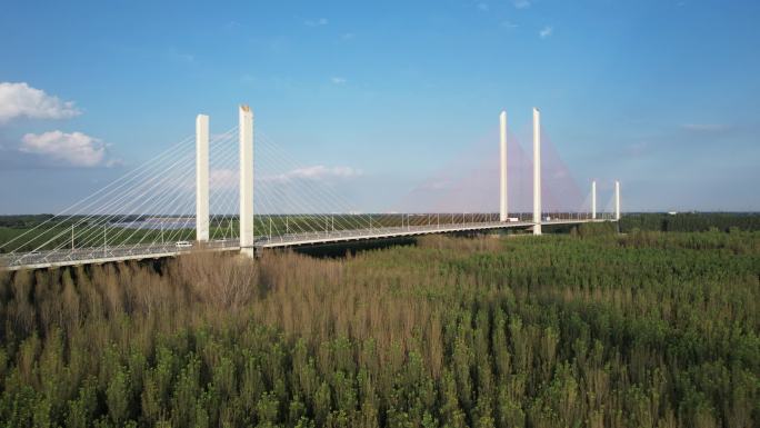 滨州 黄河大桥 黄河 地标 生态 高速