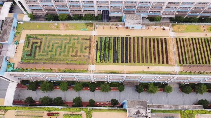 深圳龙岗坪地德琳学校