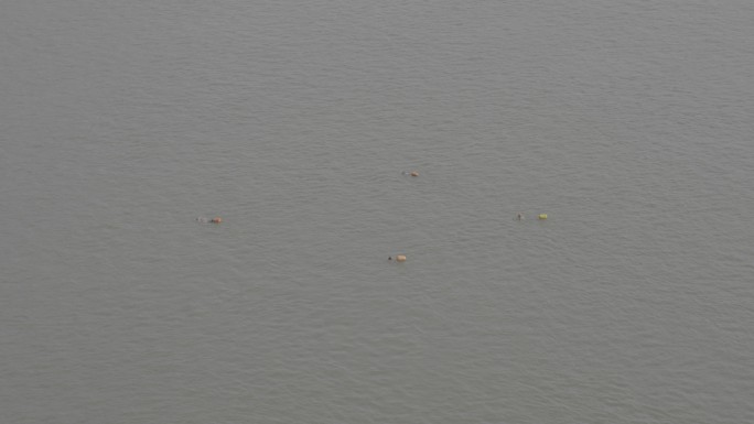 4人排成方阵在长江中游泳SLOG3灰片