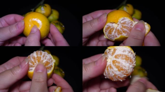 剥开的水果砂糖橘青皮蜜橘