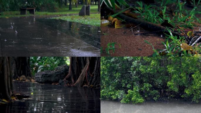 秋天雨景-慢镜头