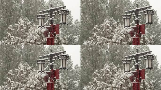 雪中的路灯