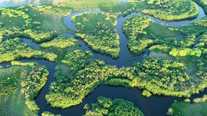 航拍湿地丛林河湾