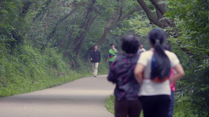 森林公园晨练散步老人