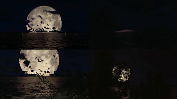 海上升明月 水中月亮 竹林月亮中秋月圆