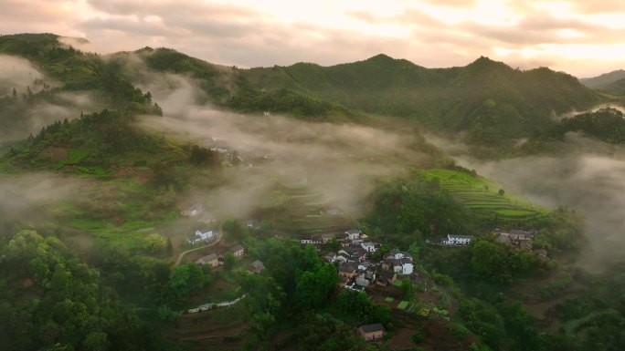 实拍皖南高山云海梯田茶园