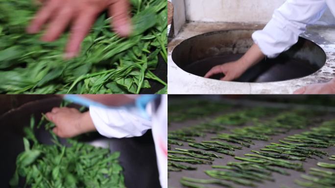 十大名茶太平猴魁茶叶炒制