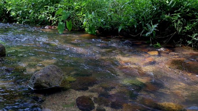 溪水 小流域