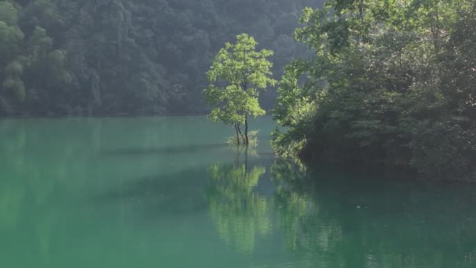 航拍江南山水浙江水面湖面水中央一棵树安静