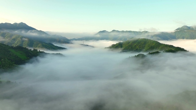 实拍 皖南 高山 云海 梯田 茶园