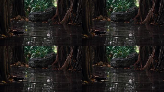 木栈道雨水-慢镜头