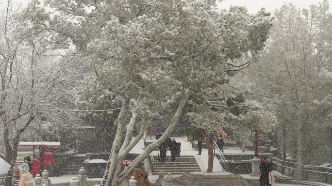 雪中公园的人