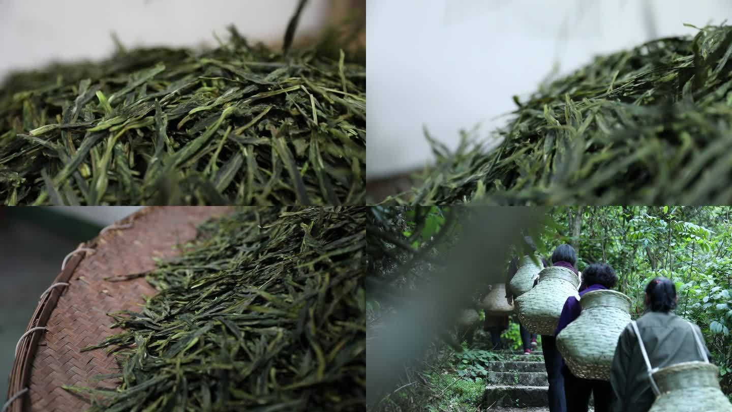 太平猴魁茶叶生产加工
