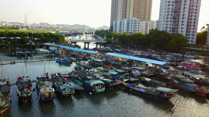 东莞虎门新湾渔港航拍