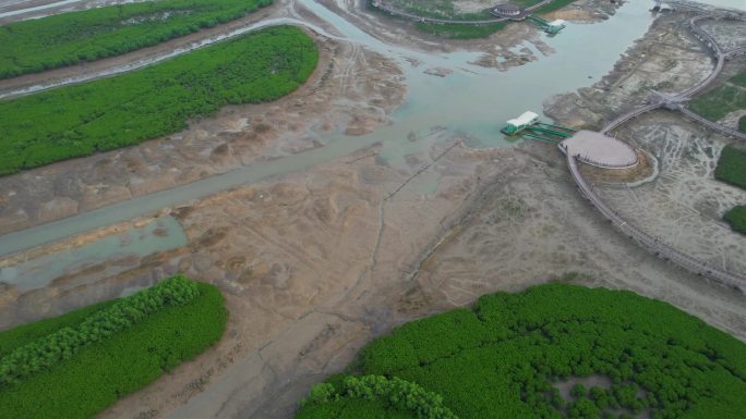 航拍厦门下潭尾湿地公园