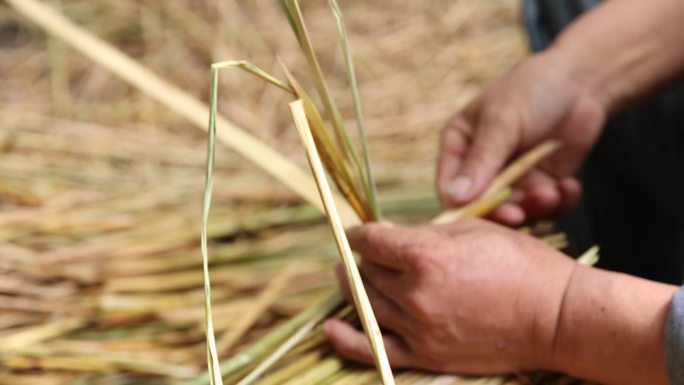 实拍村民编织稻草庆丰收