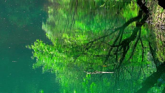 碧绿的湖水