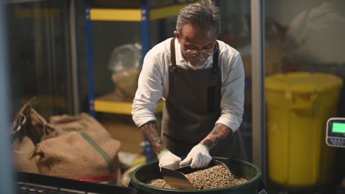 亚裔中国工人，高级技工，从桶中舀出生咖啡豆到称重机，并在工厂仓库中混合咖啡烘焙过程