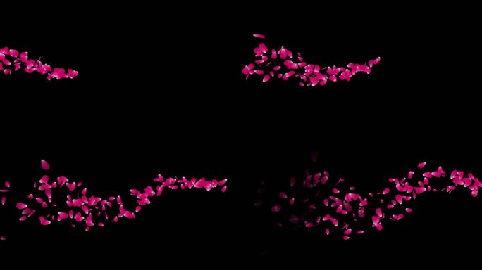 飞舞的玫瑰花瓣背景，可循环，4K Alpha频道，粉红色玫瑰花