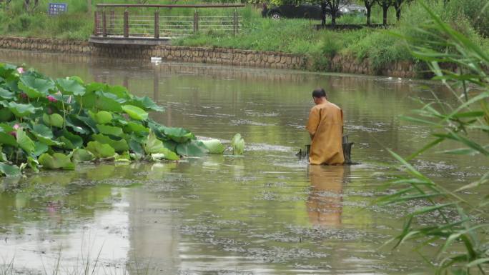 池塘中的捞鱼人