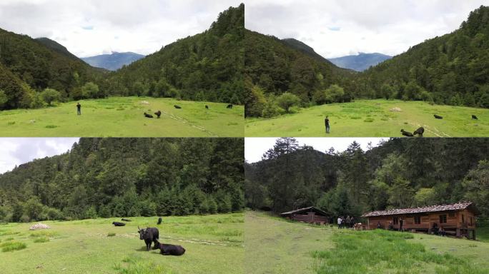 山间草场航拍