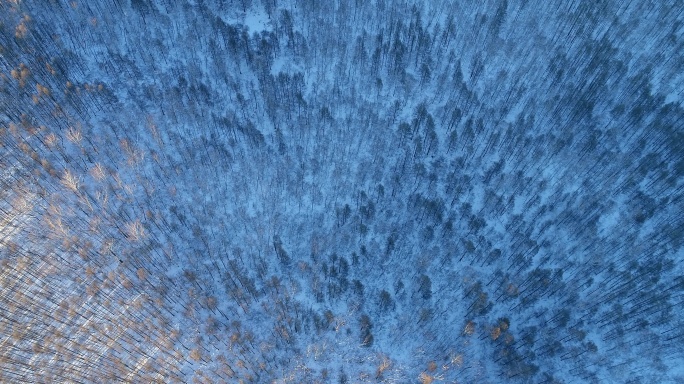 航拍冬季森林雪景