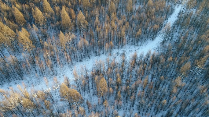 航拍冬季森林雪景