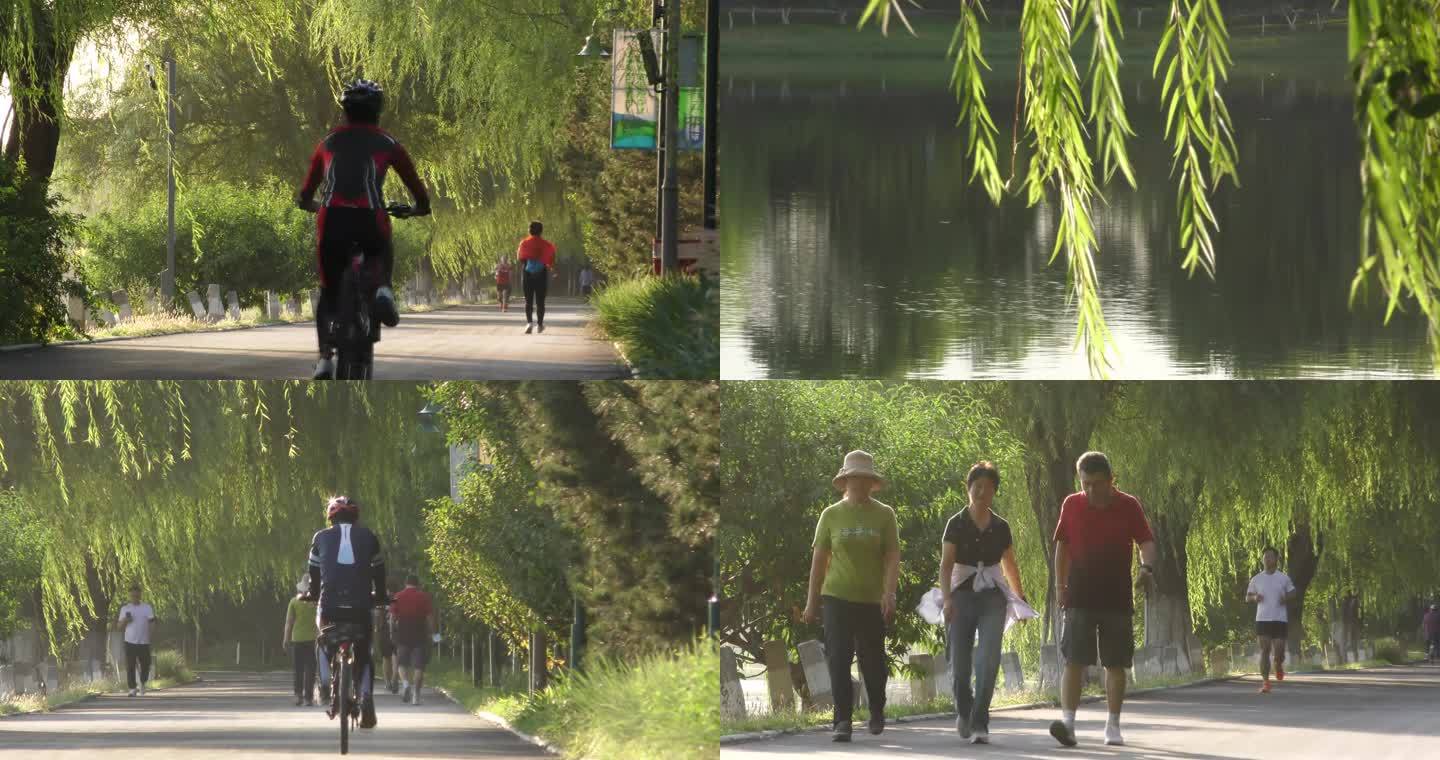 早晨清晨公园骑行水边城市晨练跑步骑行锻炼