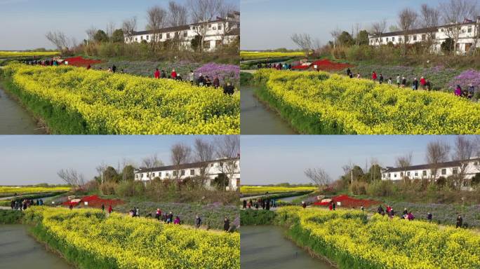 高邮湖上花海景区