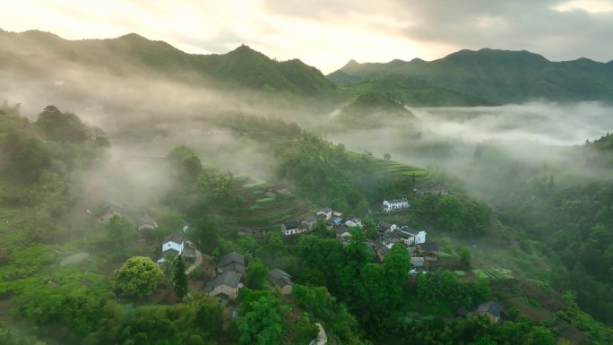 皖南 山峰 茶园 日出 云海