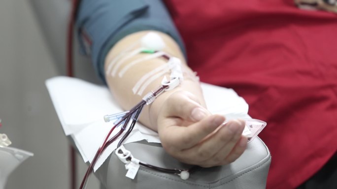 献血志愿者捐献造血干细胞血液手血管透析