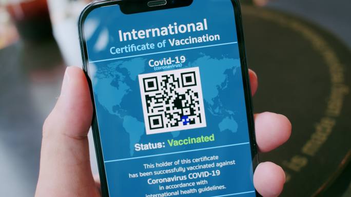 特写：POV亚洲男子手持手机上的数字新冠疫苗护照