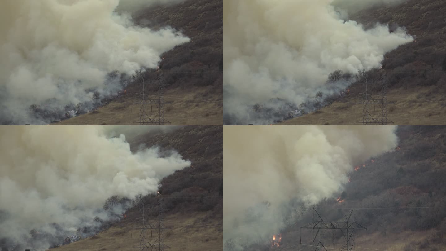 在科罗拉多州的利特尔顿山麓，橡树大火干枯地燃烧着草地和树木