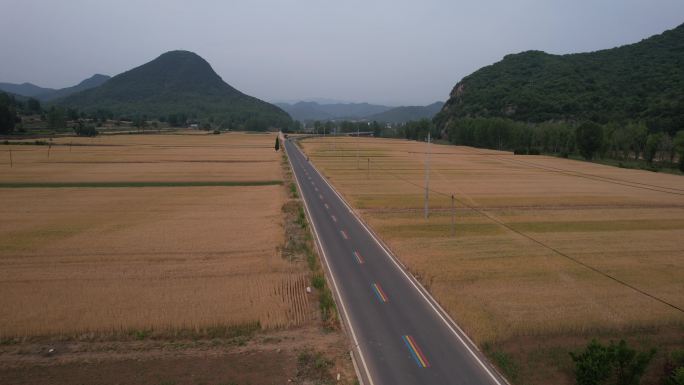 山西旅游阳城旅游公路麦田4K航拍4