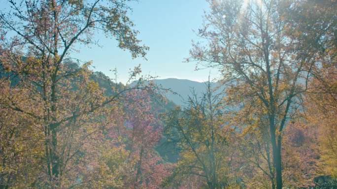 南涧无量山樱花谷、石洞寺实拍