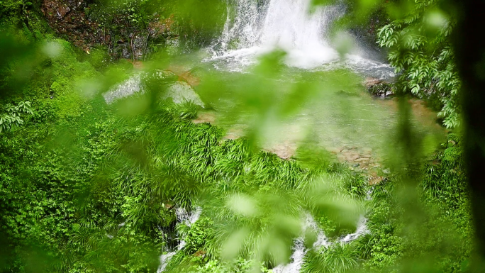 原始生态山涧溪流瀑布