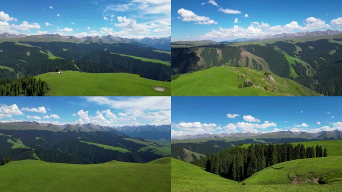 航拍大草原新疆风景空中草原 那拉提喀拉峻