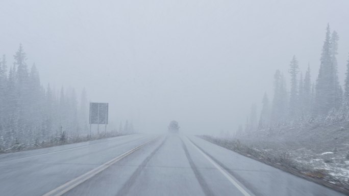 在国家公园能见度低的暴风雪中，汽车在大雪中行驶